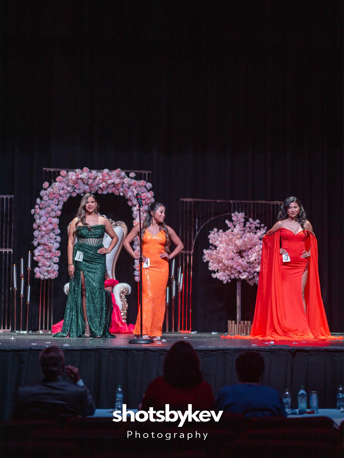 Miss Fiesta del Pueblo 2025 Image 11